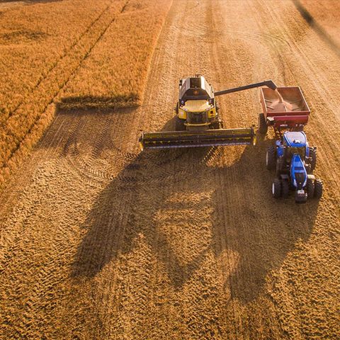 Фермеров и земледельцев Кыргызстана на три года освободили от уплаты земельного налога. Указ подписал Садыр Жапаров.